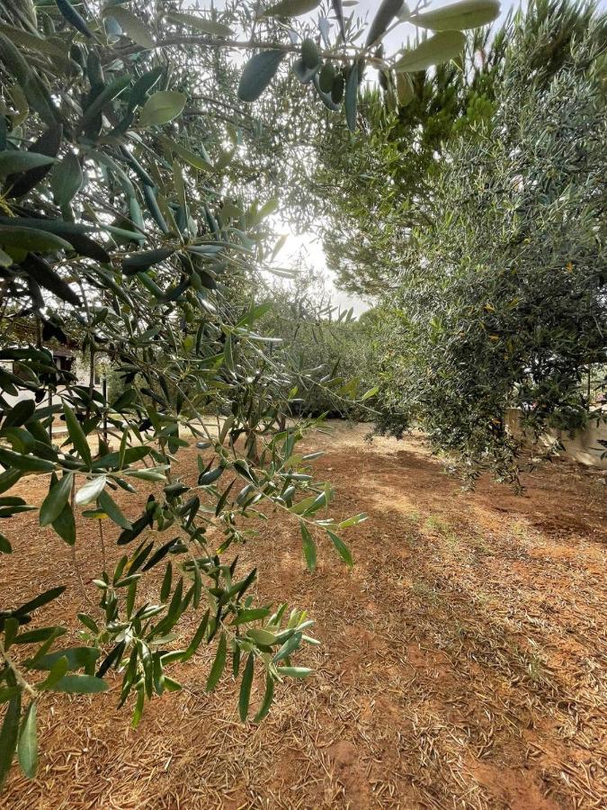 Il Moro - Casa Vacanze Terrasini Kültér fotó